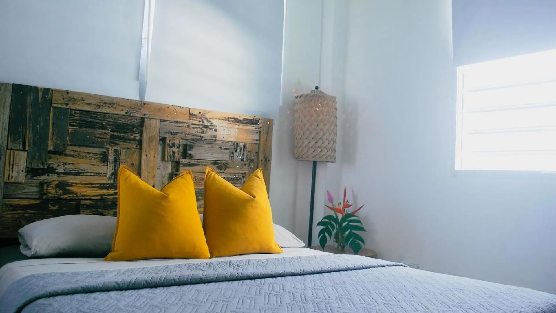 Casa Sofia Wabi Sabi Apt With Rooftop, Walk To Beach Luquillo 0*,  Puerto Rico