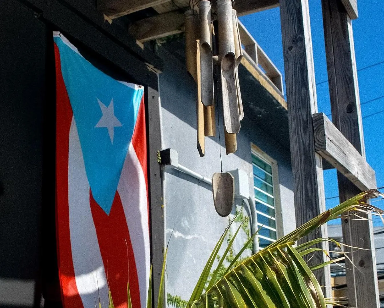 Casa Sofia Wabi Sabi Apt With Rooftop, Walk To Beach Luquillo Apartment